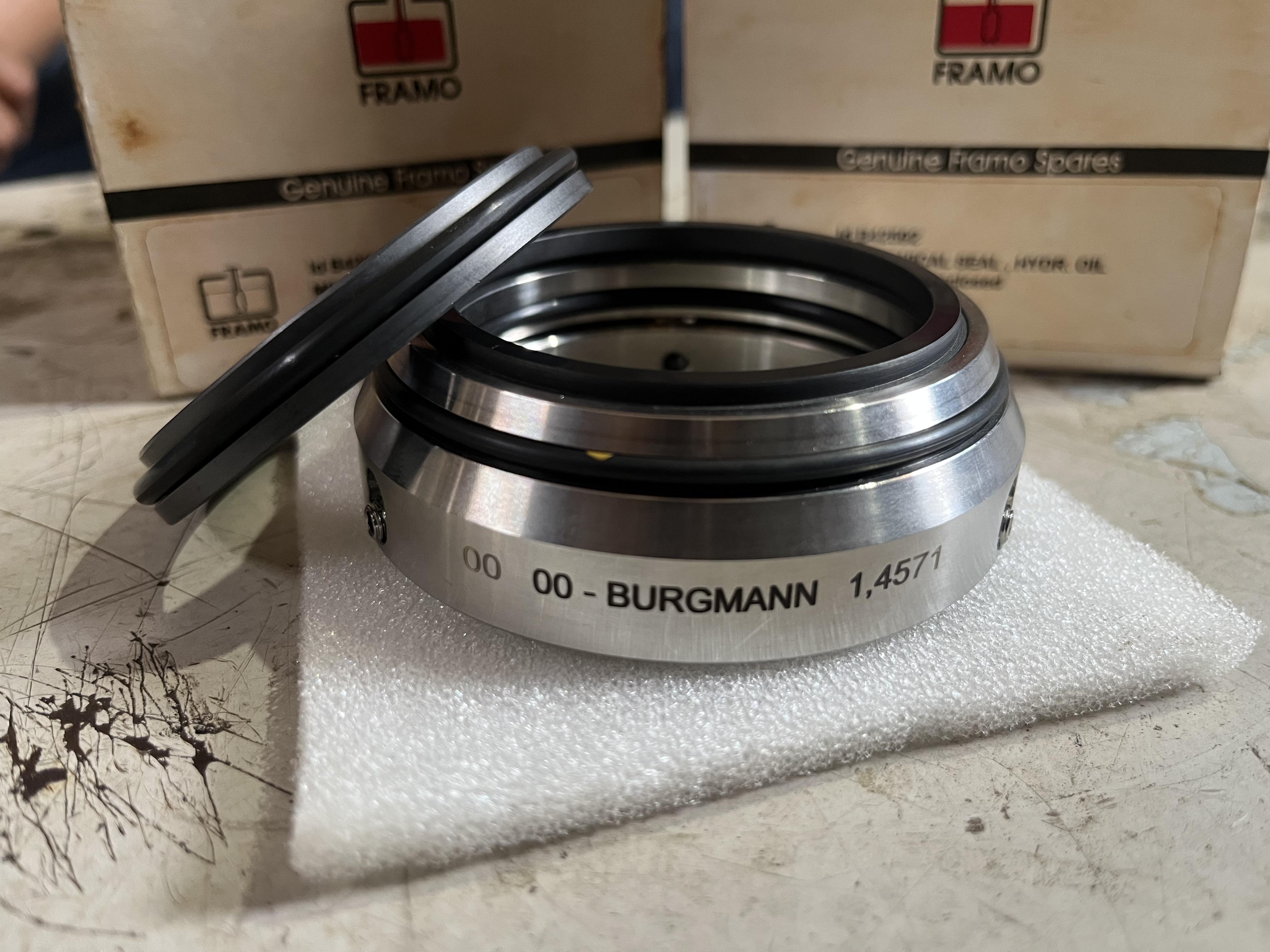 MECHANICAL SEAL SD125/150 - Cargo Framo System